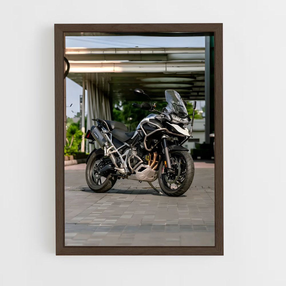 Poster Tigre Majestueux 1200 – affiche Triumph (vue 5)